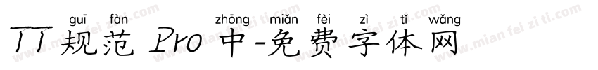 TT 规范 Pro 中字体转换
